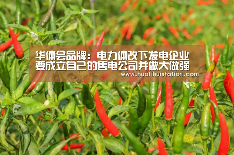 华体会品牌：电力体改下发电企业要成立自己的售电公司并做大做强