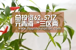 总投资62.57亿元青海“三区两州”电网工程续建项目恢复建设-华体会下载(图1) 华体会品牌