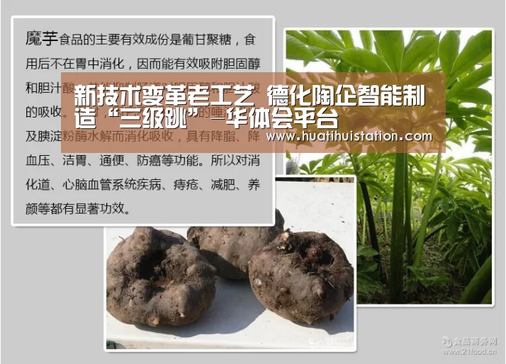 新技术变革老工艺 德化陶企智能制造“三级跳”-华体会平台(图2) 华体会平台