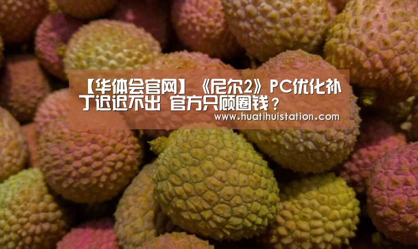华体会下载